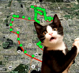Update 93+ about cat gps tracker cool - NEC