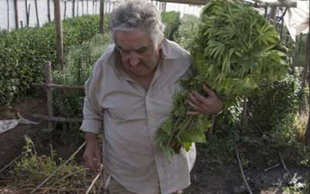 Former President Jose Mujica
