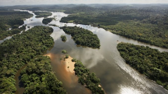 Renca National Reserve, Brazil
