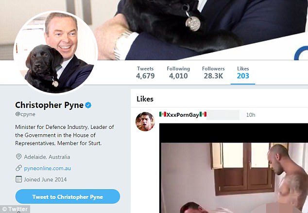 Christopher Pyne Denies Liking Gay Porn