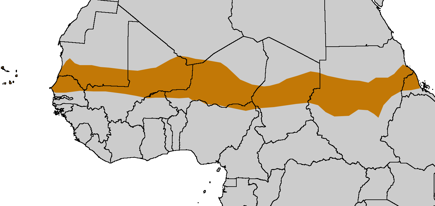 The Sahel reaches from Mauritania to Sudan